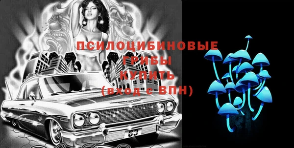 ПСИЛОЦИБИНОВЫЕ ГРИБЫ Алексин